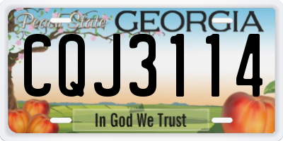 GA license plate CQJ3114