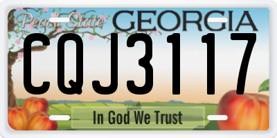 GA license plate CQJ3117