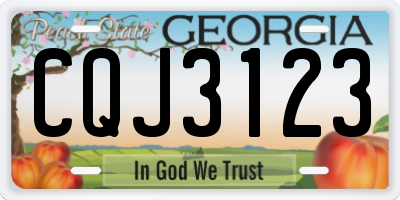 GA license plate CQJ3123