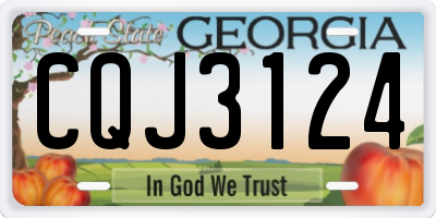 GA license plate CQJ3124