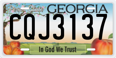 GA license plate CQJ3137
