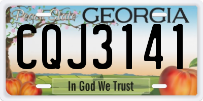GA license plate CQJ3141
