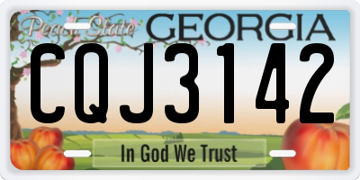 GA license plate CQJ3142