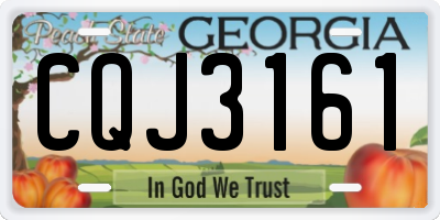 GA license plate CQJ3161