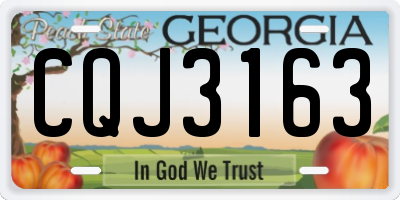 GA license plate CQJ3163