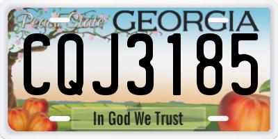 GA license plate CQJ3185