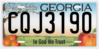 GA license plate CQJ3190