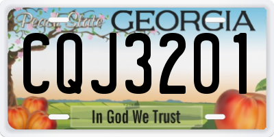 GA license plate CQJ3201