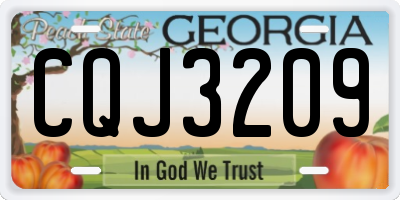 GA license plate CQJ3209
