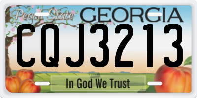 GA license plate CQJ3213