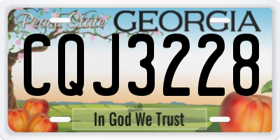 GA license plate CQJ3228