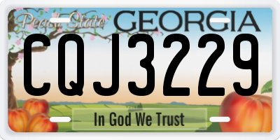 GA license plate CQJ3229