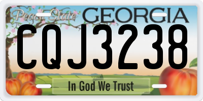 GA license plate CQJ3238