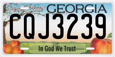 GA license plate CQJ3239