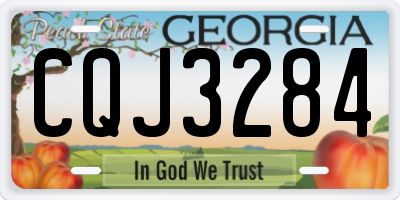 GA license plate CQJ3284