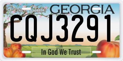 GA license plate CQJ3291