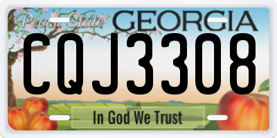 GA license plate CQJ3308