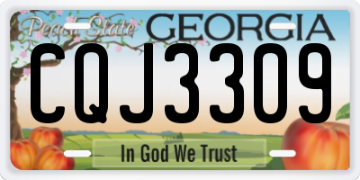 GA license plate CQJ3309