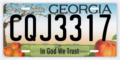 GA license plate CQJ3317