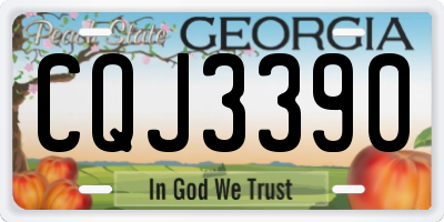 GA license plate CQJ3390