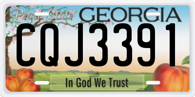GA license plate CQJ3391