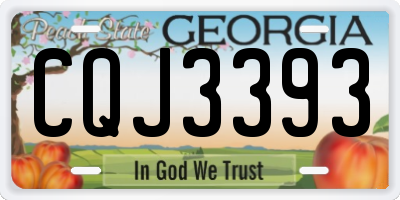 GA license plate CQJ3393