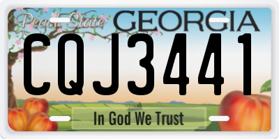 GA license plate CQJ3441