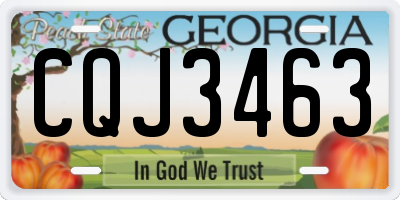 GA license plate CQJ3463