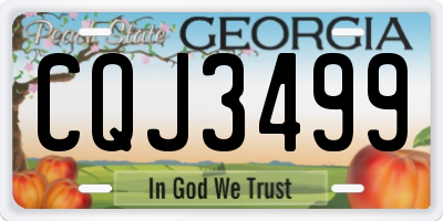 GA license plate CQJ3499