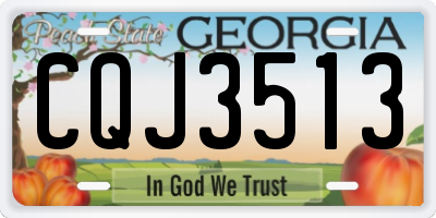 GA license plate CQJ3513