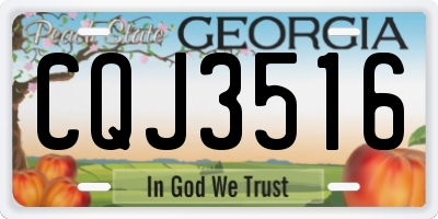 GA license plate CQJ3516