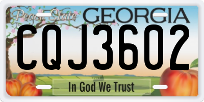 GA license plate CQJ3602