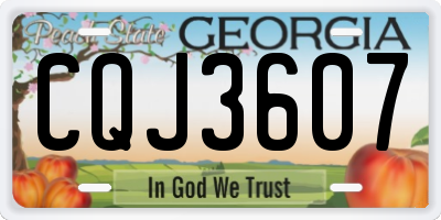 GA license plate CQJ3607