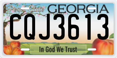 GA license plate CQJ3613