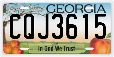 GA license plate CQJ3615