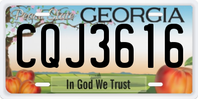GA license plate CQJ3616