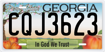 GA license plate CQJ3623