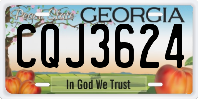 GA license plate CQJ3624