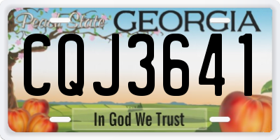 GA license plate CQJ3641