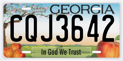GA license plate CQJ3642