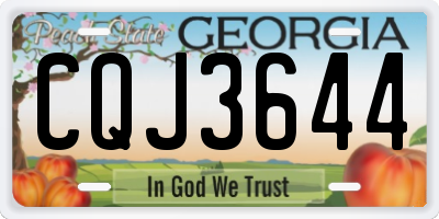 GA license plate CQJ3644