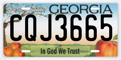 GA license plate CQJ3665