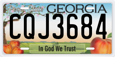 GA license plate CQJ3684