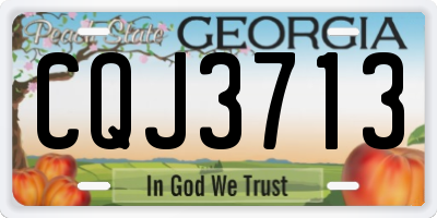 GA license plate CQJ3713