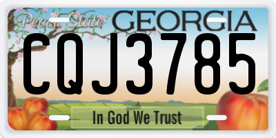 GA license plate CQJ3785