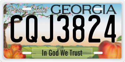 GA license plate CQJ3824