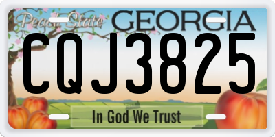 GA license plate CQJ3825