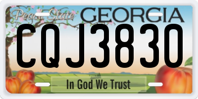 GA license plate CQJ3830