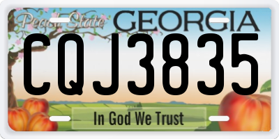 GA license plate CQJ3835