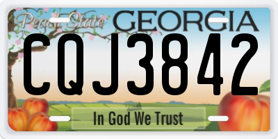 GA license plate CQJ3842